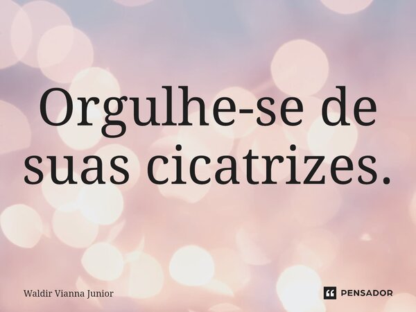 ⁠Orgulhe-se de suas cicatrizes.... Frase de Waldir Vianna Junior.