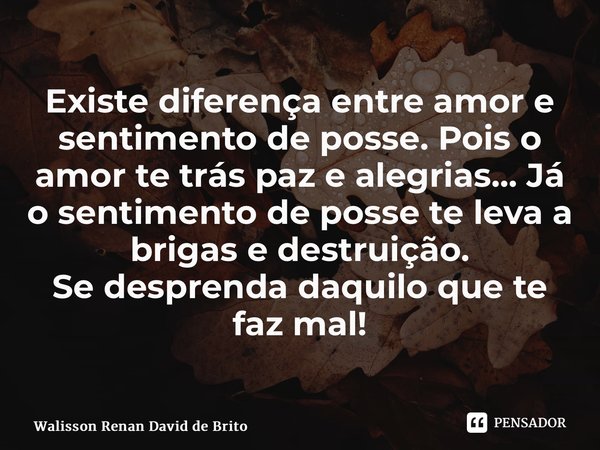 ⁠Existe diferença entre amor e sentimento de posse. Pois o amor te trás paz e alegrias... Já o sentimento de posse te leva a brigas e destruição. Se desprenda d... Frase de Walisson Renan David de Brito.