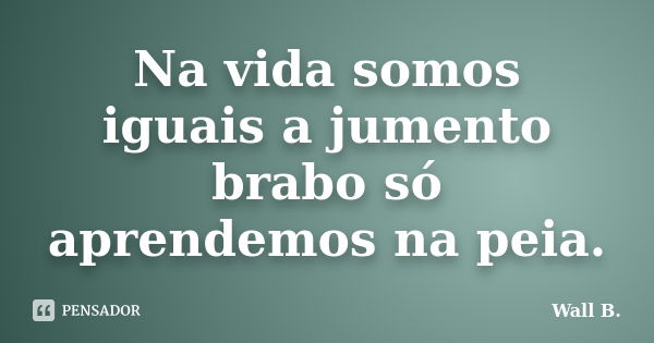 Na vida somos iguais a jumento brabo só aprendemos na peia.... Frase de Wall B..