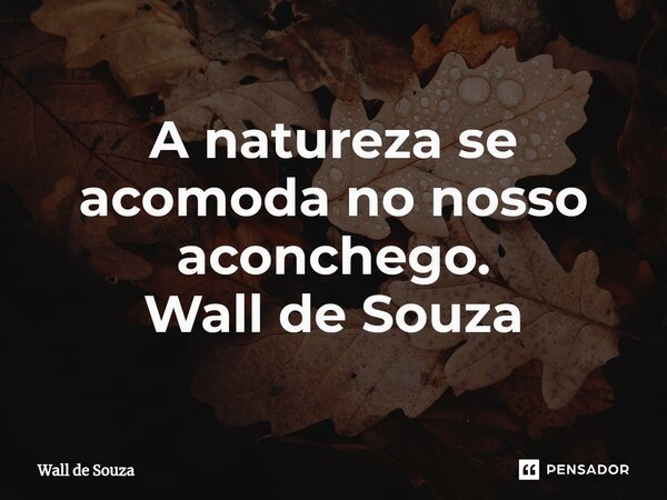 ⁠A natureza se acomoda no nosso aconchego. Wall de Souza... Frase de Wall de Souza.