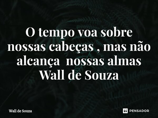 ⁠O tempo voa sobre nossas cabeças , mas não alcança nossas almas Wall de Souza... Frase de Wall de Souza.
