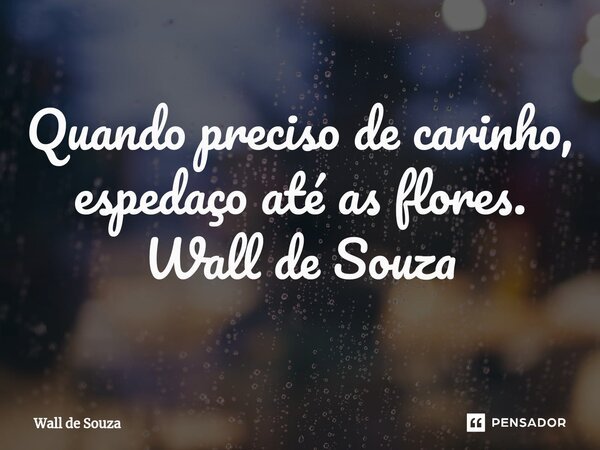 ⁠Quando preciso de carinho, espedaço até as flores. Wall de Souza... Frase de Wall de Souza.