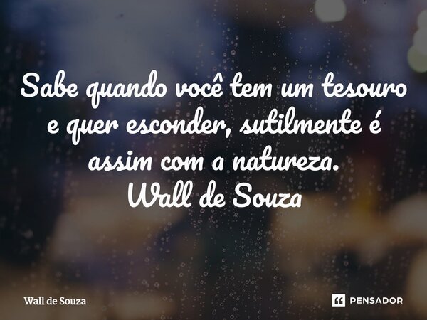 ⁠Sabe quando você tem um tesouro e quer esconder, sutilmente é assim com a natureza. Wall de Souza... Frase de Wall de Souza.