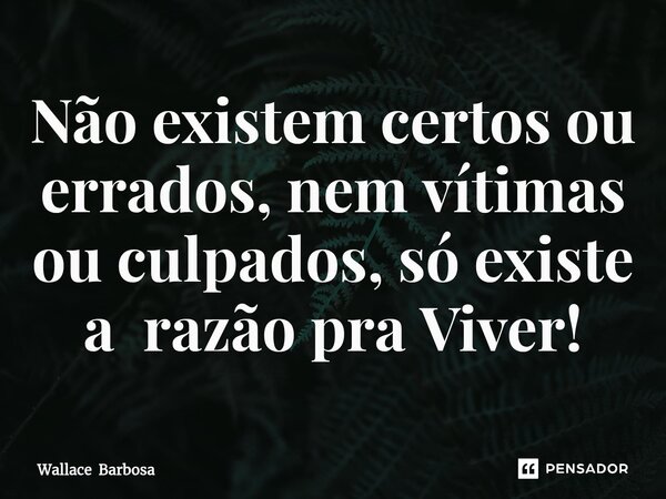 ⁠Não existem certos ou errados, nem vítimas ou culpados, só existe a razão pra Viver!... Frase de Wallace Barbosa.