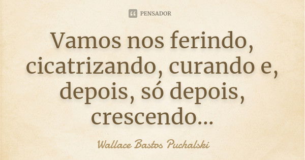 Vamos nos ferindo, cicatrizando, curando e, depois, só depois, crescendo...... Frase de Wallace Bastos Puchalski.