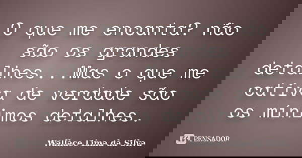 O que me encanta? não são os grandes detalhes...Mas o que me cativa de verdade são os mínimos detalhes.... Frase de Wallace Lima da Silva.