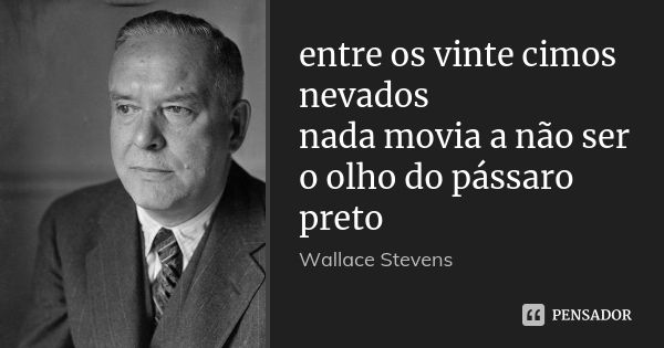 entre os vinte cimos nevados
nada movia a não ser
o olho do pássaro preto... Frase de Wallace Stevens.