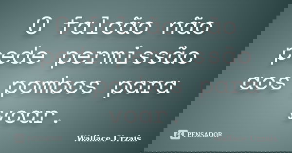 O falcão não pede permissão aos pombos para voar.... Frase de Wallace Urzais.