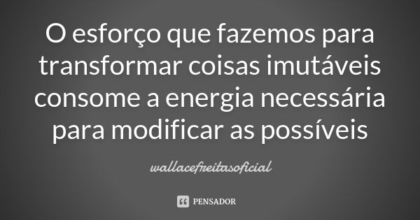 O esforço que fazemos para transformar coisas imutáveis consome a energia necessária para modificar as possíveis... Frase de wallacefreitasoficial.