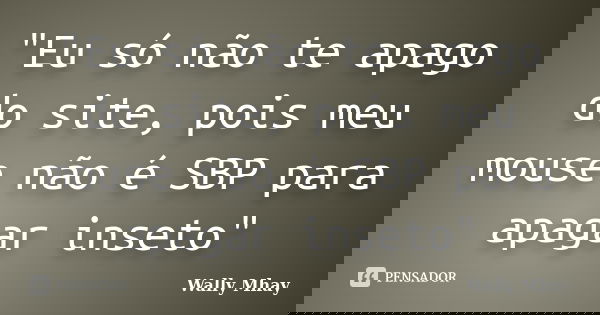 "Eu só não te apago do site, pois meu mouse não é SBP para apagar inseto"... Frase de Wally Mhay.