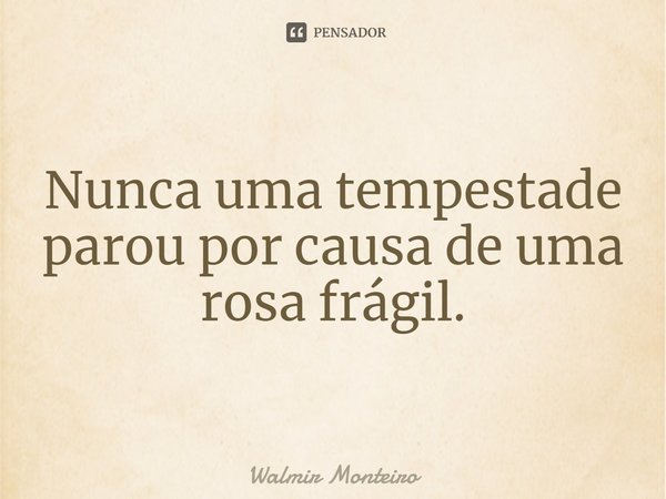 Nunca uma tempestade parou por causa de uma rosa frágil.⁠... Frase de Walmir Monteiro.