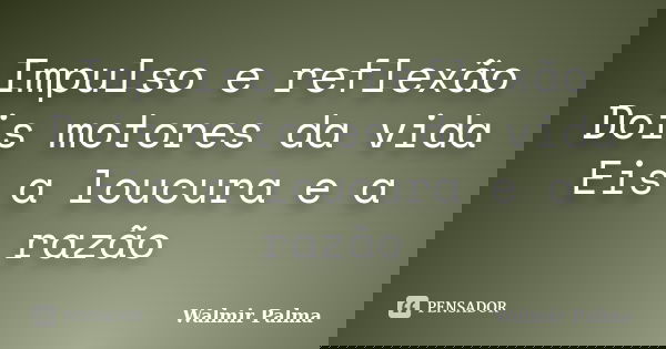 Impulso e reflexão Dois motores da vida Eis a loucura e a razão... Frase de Walmir Palma.