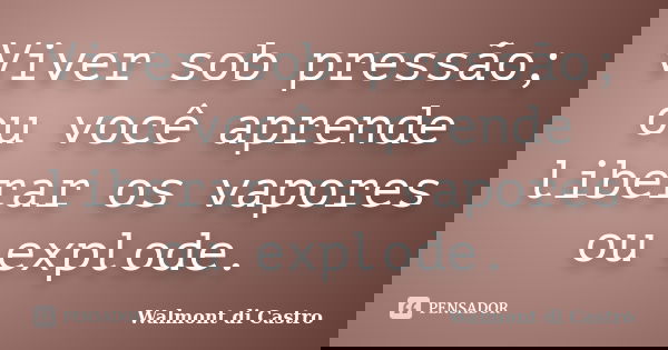 Viver sob pressão; ou você aprende liberar os vapores ou explode.... Frase de Walmont di Castro.