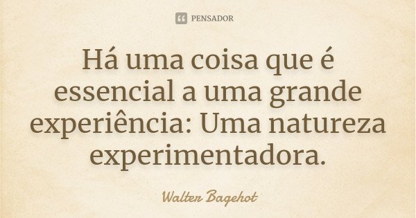Há uma coisa que é essencial a uma grande experiência: Uma natureza experimentadora.... Frase de Walter Bagehot.