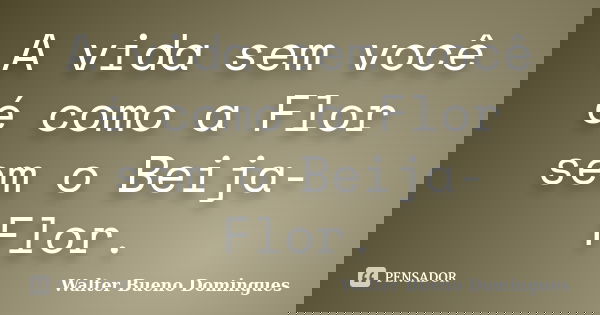 A vida sem você é como a Flor sem o Beija-Flor.... Frase de Walter Bueno Domingues.