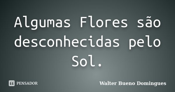 Algumas Flores são desconhecidas pelo Sol.... Frase de Walter Bueno Domingues.