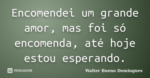 Encomendei um grande amor, mas foi só encomenda, até hoje estou esperando.... Frase de Walter Bueno Domingues.