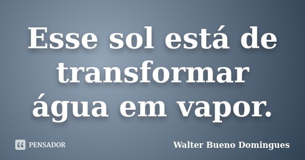 Esse sol está de transformar água em vapor.... Frase de Walter Bueno Domingues.