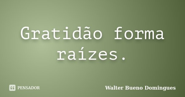 Gratidão forma raízes.... Frase de Walter Bueno Domingues.