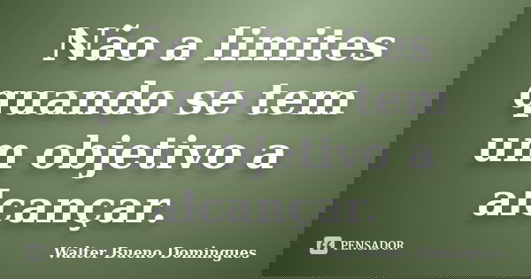Não a limites quando se tem um objetivo a alcançar.... Frase de Walter Bueno Domingues.