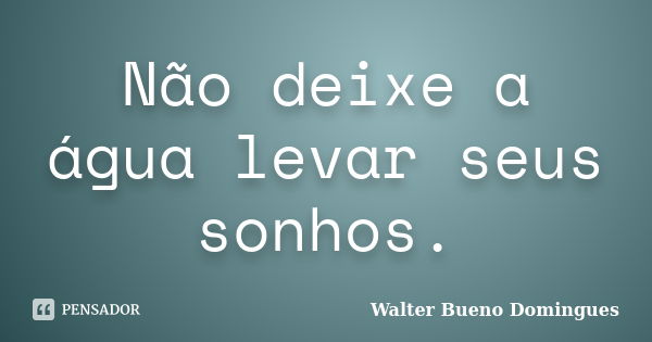 Não deixe a água levar seus sonhos.... Frase de Walter Bueno Domingues.