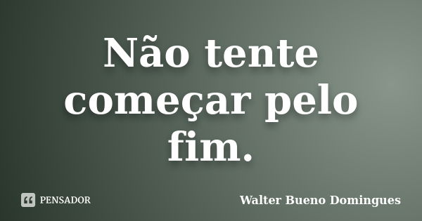 Não tente começar pelo fim.... Frase de Walter Bueno Domingues.