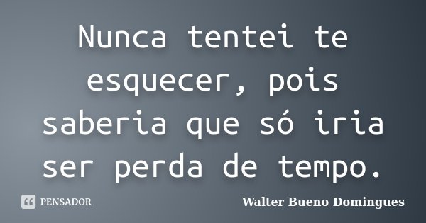 Nunca tentei te esquecer, pois saberia que só iria ser perda de tempo.... Frase de Walter Bueno Domingues.