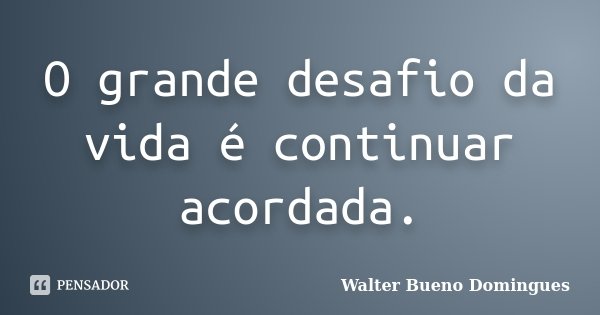 O grande desafio da vida é continuar acordada.... Frase de Walter Bueno Domingues.