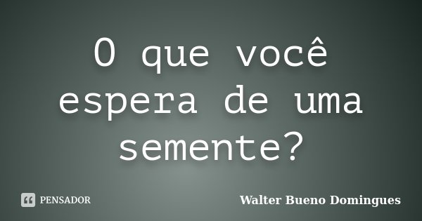 O que você espera de uma semente?... Frase de Walter Bueno Domingues.