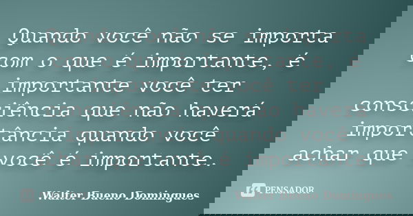 Quando você não se importa com o que é importante, é importante você ter consciência que não haverá importância quando você achar que você é importante.... Frase de Walter Bueno Domingues.