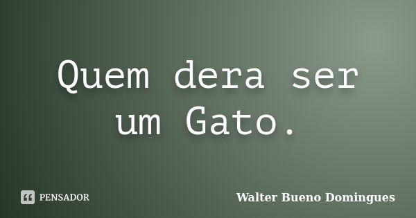 Quem dera ser um Gato.... Frase de Walter Bueno Domingues.