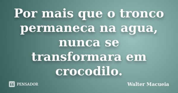 Por mais que o tronco permaneca na agua, nunca se transformara em crocodilo.... Frase de Walter Macueia.