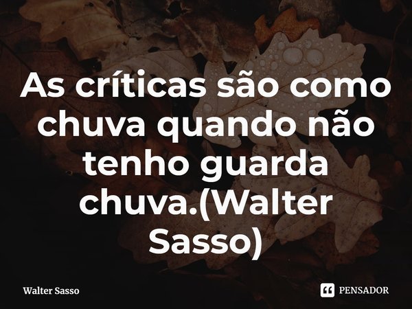 ⁠As críticas são como chuva quando não tenho guarda chuva.(Walter Sasso)... Frase de Walter Sasso.