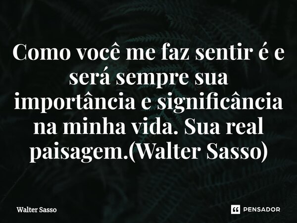 ⁠Como você me faz sentir é e será sempre sua importância e significância na minha vida. Sua real paisagem.(Walter Sasso)... Frase de Walter Sasso.