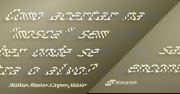Como acertar na "mosca" sem saber onde se encontra o alvo?... Frase de Walton Pontes Carpes Júnior.