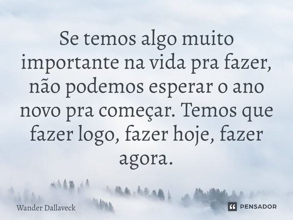 ⁠Se temos algo muito importante na vida pra fazer, não podemos esperar o ano novo pra começar. Temos que fazer logo, fazer hoje, fazer agora.... Frase de Wander Dallaveck.