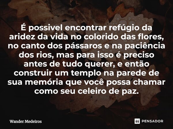 ⁠É possível encontrar refúgio da aridez da vida no colorido das flores, no canto dos pássaros e na paciência dos rios, mas para isso é preciso antes de tudo que... Frase de Wander Medeiros.