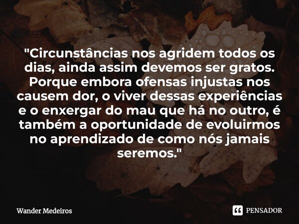 "Circunstâncias nos agridem todos os dias, ainda assim devemos ser gratos. Porque embora ofensas injustas nos causem dor, o viver dessas experiências e o e... Frase de Wander Medeiros.