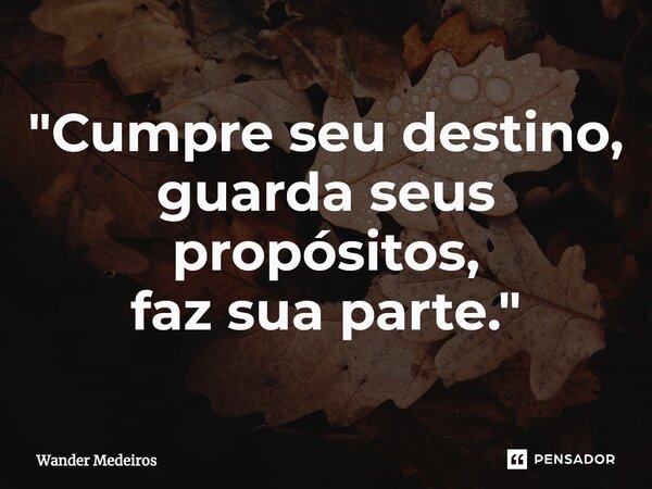 ⁠"Cumpre seu destino, guarda seus propósitos, faz sua parte."... Frase de Wander Medeiros.