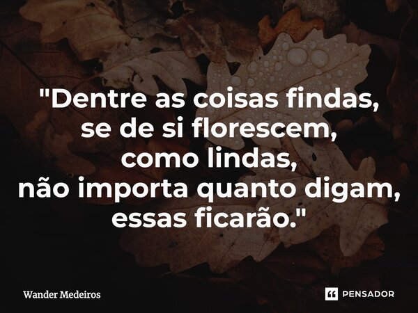 ⁠"Dentre as coisas findas, se de si florescem, como lindas, não importa quanto digam, essas ficarão."... Frase de Wander Medeiros.