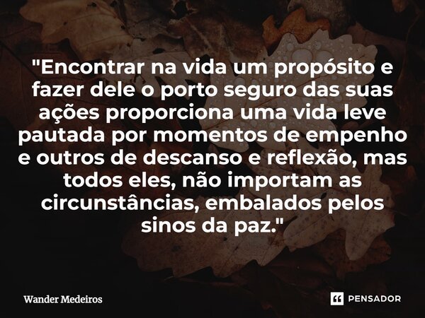 "⁠Encontrar na vida um propósito e fazer dele o porto seguro das suas ações proporciona uma vida leve pautada por momentos de empenho e outros de descanso ... Frase de Wander Medeiros.