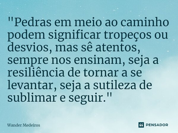 "⁠Pedras em meio ao caminho podem significar tropeços ou desvios, mas sê atentos, sempre nos ensinam, seja a resiliência de tornar a se levantar, seja a su... Frase de Wander Medeiros.