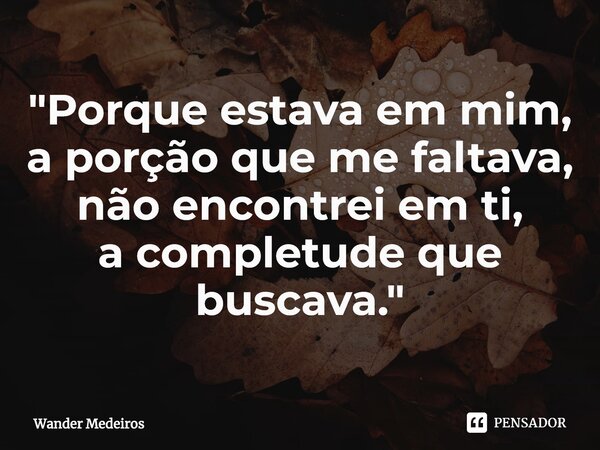 ⁠"Porque estava em mim, a porção que me faltava, não encontrei em ti, a completude que buscava."... Frase de Wander Medeiros.