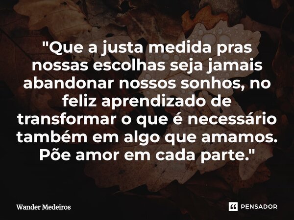 ⁠"Que a justa medida pras nossas escolhas seja jamais abandonar nossos sonhos, no feliz aprendizado de transformar o que é necessário também em algo que am... Frase de Wander Medeiros.