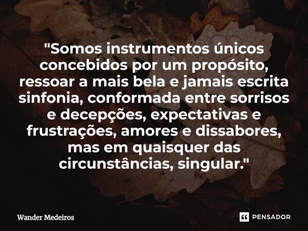 "⁠Somos instrumentos únicos concebidos por um propósito, ressoar a mais bela e jamais escrita sinfonia, conformada entre sorrisos e decepções, expectativas... Frase de Wander Medeiros.