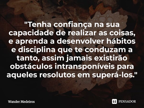 ⁠"Tenha confiança na sua capacidade de realizar as coisas, e aprenda a desenvolver hábitos e disciplina que te conduzam a tanto, assim jamais existirão obs... Frase de Wander Medeiros.