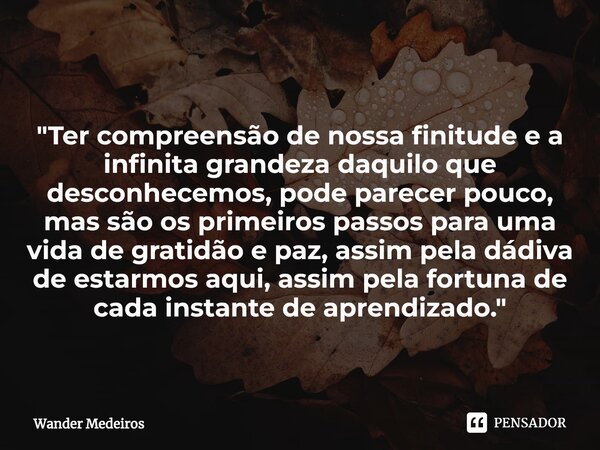 ⁠"Ter compreensão de nossa finitude e a infinita grandeza daquilo que desconhecemos, pode parecer pouco, mas são os primeiros passos para uma vida de grati... Frase de Wander Medeiros.