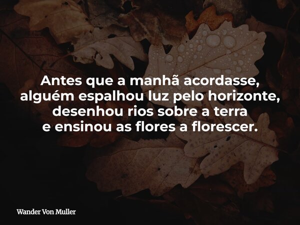 Antes que a manhã acordasse, alguém espalhou luz pelo horizonte, desenhou rios sobre a terra e ensinou as flores a florescer.... Frase de Wander Von Muller.