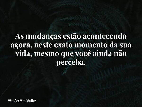 As mudanças estão acontecendo agora, neste exato momento da sua vida, mesmo que você ainda não perceba.... Frase de Wander Von Muller.