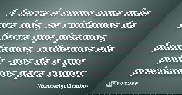 A terra é como uma mãe pra nós, se cuidamos da terra que pisamos, plantamos, colhemos ela pode -nos da o que precisamos para comer.... Frase de WanderleyFirmino.